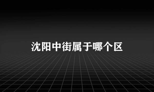 沈阳中街属于哪个区