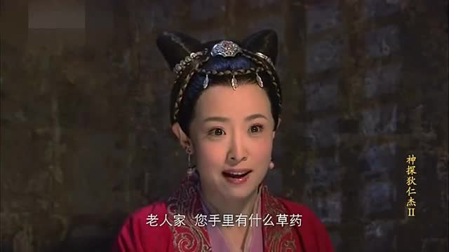 《神探狄仁杰》第2部里，如燕的真实身份是在哪一集被发现的？