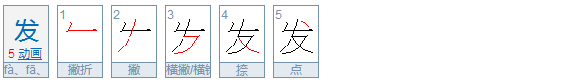 发的具体结构