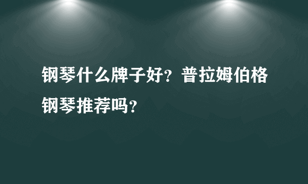 钢琴什么牌子好？普拉姆伯格钢琴推荐吗？