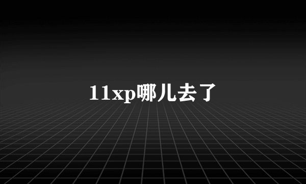 11xp哪儿去了