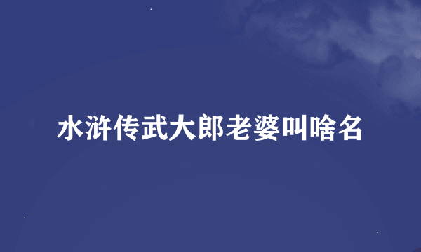 水浒传武大郎老婆叫啥名