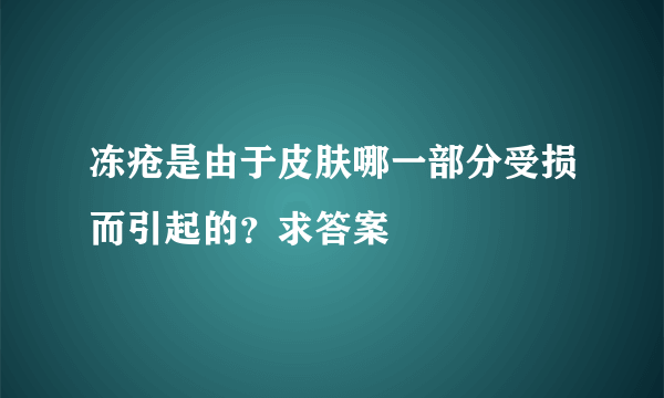 冻疮是由于皮肤哪一部分受损而引起的？求答案