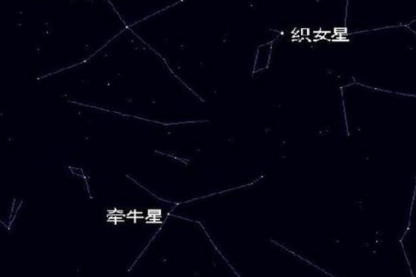 牵牛星和织女星属于哪个星宿？