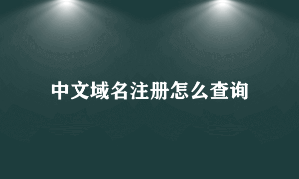 中文域名注册怎么查询