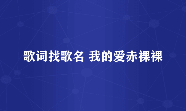 歌词找歌名 我的爱赤裸裸