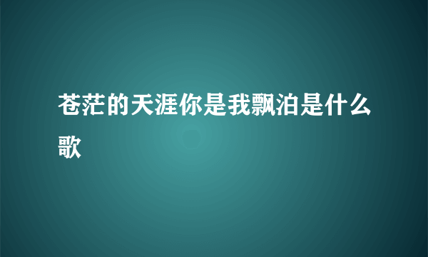 苍茫的天涯你是我飘泊是什么歌