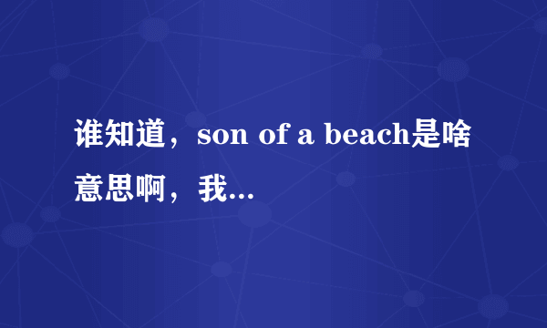 谁知道，son of a beach是啥意思啊，我同学经常说