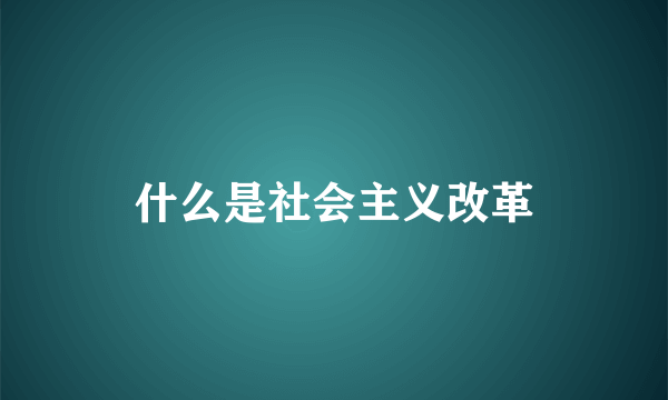 什么是社会主义改革