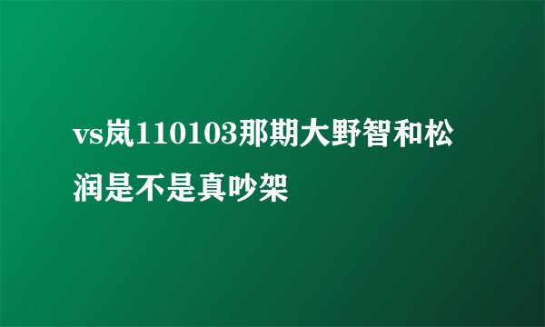 vs岚110103那期大野智和松润是不是真吵架