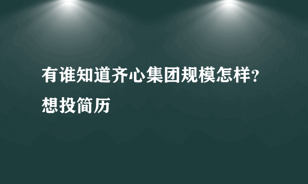 有谁知道齐心集团规模怎样？想投简历