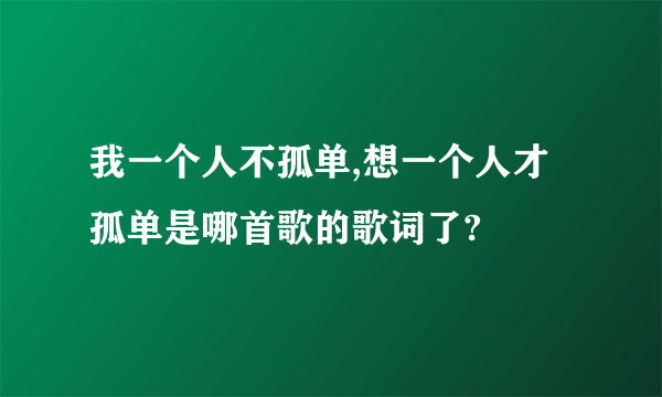 我一个人不孤单,想一个人才孤单是哪首歌的歌词了?