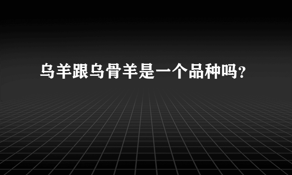 乌羊跟乌骨羊是一个品种吗？