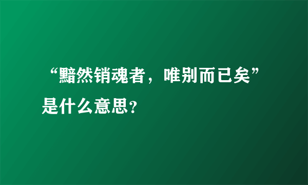 “黯然销魂者，唯别而已矣”是什么意思？