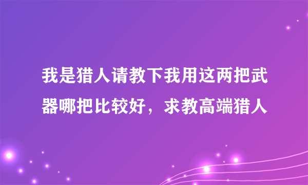 我是猎人请教下我用这两把武器哪把比较好，求教高端猎人