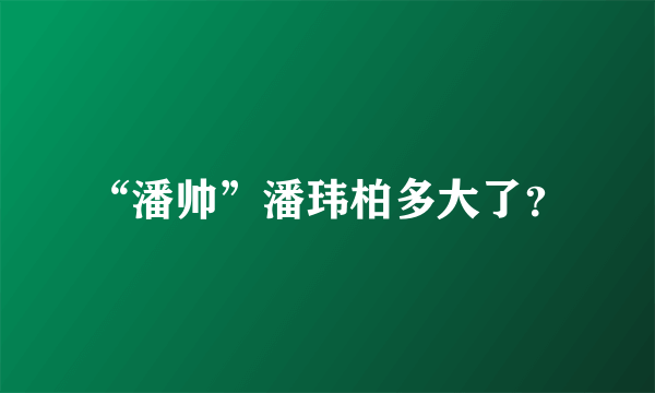 “潘帅”潘玮柏多大了？