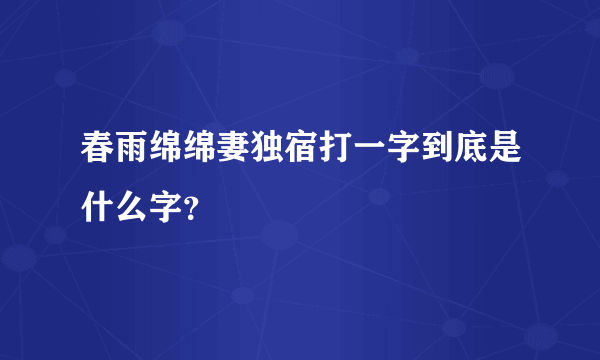 春雨绵绵妻独宿打一字到底是什么字？