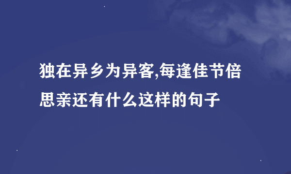 独在异乡为异客,每逢佳节倍思亲还有什么这样的句子