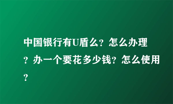 中国银行有U盾么？怎么办理？办一个要花多少钱？怎么使用？