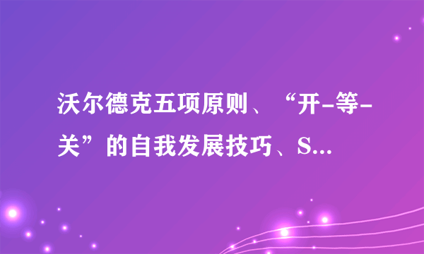 沃尔德克五项原则、“开-等-关”的自我发展技巧、SWOT 分析法、莫顿的问题解决模型这些原则，求解释