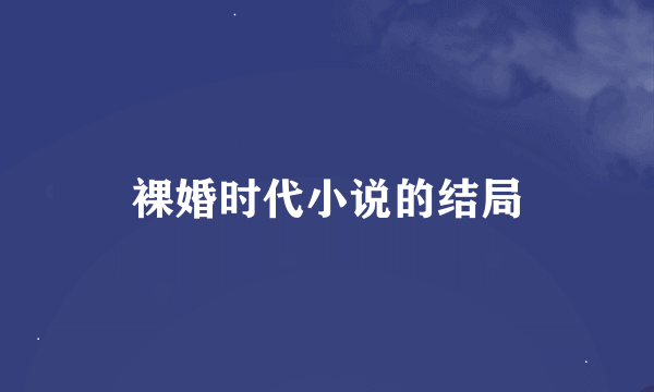 裸婚时代小说的结局