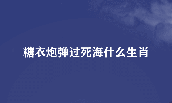 糖衣炮弹过死海什么生肖