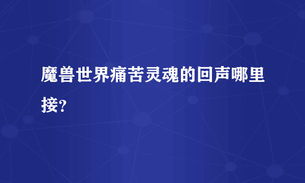 魔兽世界痛苦灵魂的回声哪里接？