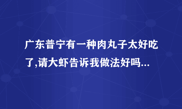 广东普宁有一种肉丸子太好吃了,请大虾告诉我做法好吗?后有赏分