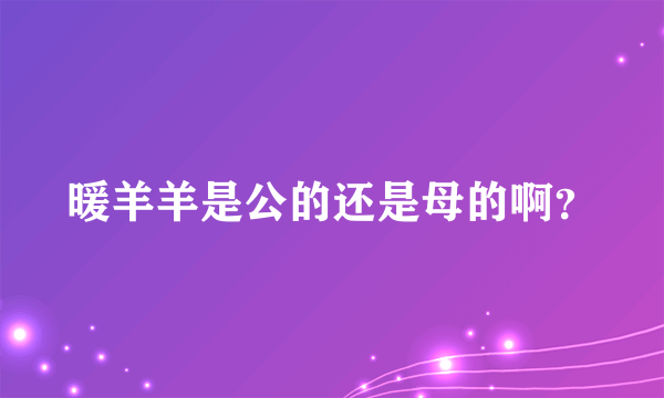 暖羊羊是公的还是母的啊？