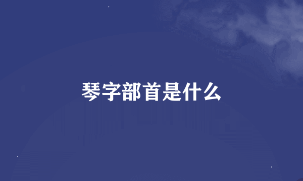 琴字部首是什么