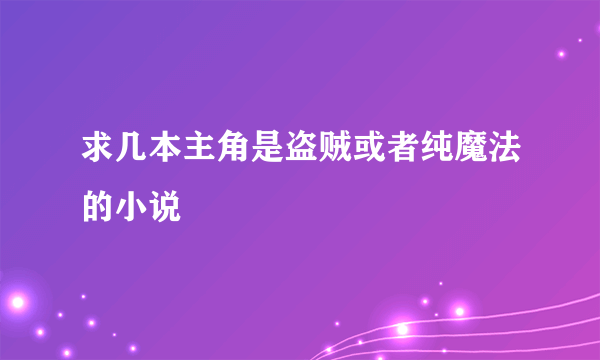 求几本主角是盗贼或者纯魔法的小说