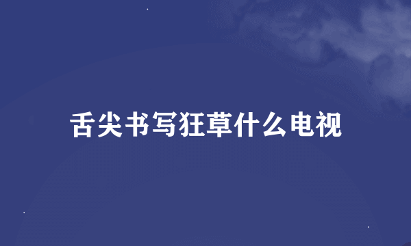 舌尖书写狂草什么电视