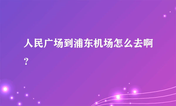 人民广场到浦东机场怎么去啊？