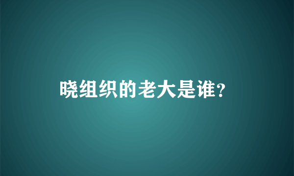 晓组织的老大是谁？