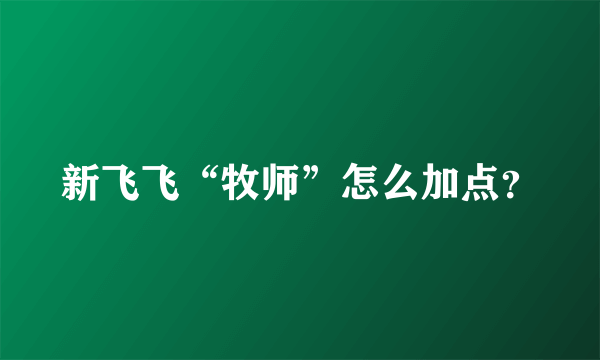 新飞飞“牧师”怎么加点？