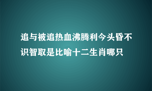 追与被追热血沸腾利今头昏不识智取是比喻十二生肖哪只