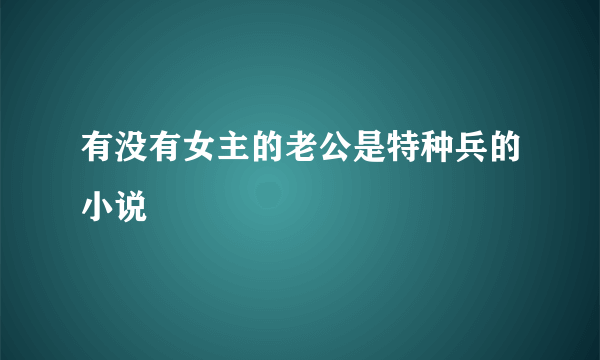 有没有女主的老公是特种兵的小说