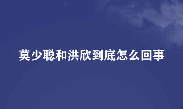 莫少聪和洪欣到底怎么回事