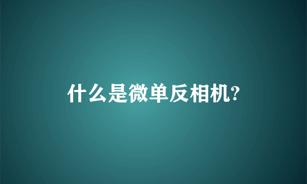 什么是微单反相机?