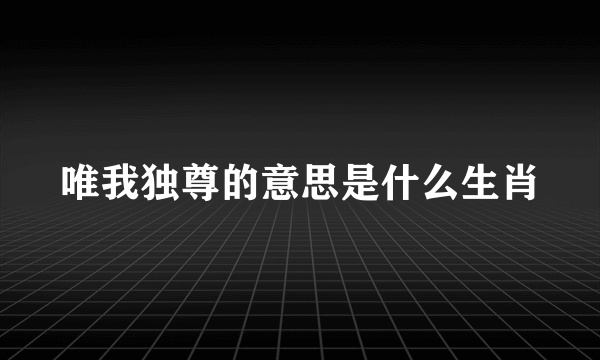 唯我独尊的意思是什么生肖