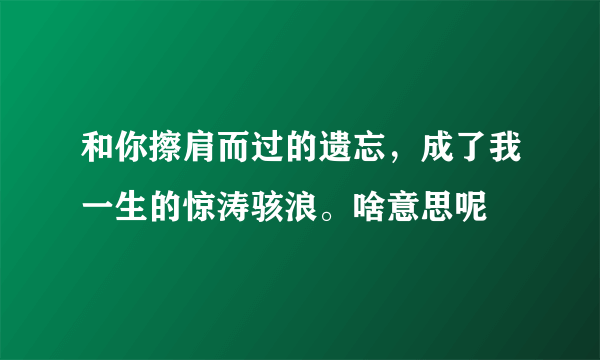 和你擦肩而过的遗忘，成了我一生的惊涛骇浪。啥意思呢