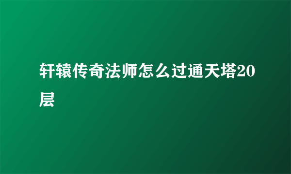 轩辕传奇法师怎么过通天塔20层