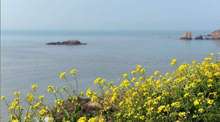 面朝大海 春暖花开 的寓意