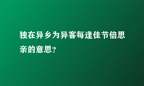 独在异乡为异客每逢佳节倍思亲的意思？