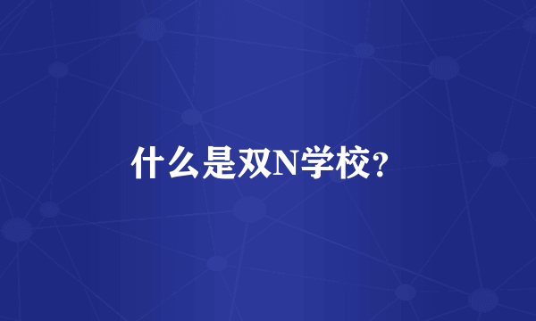 什么是双N学校？