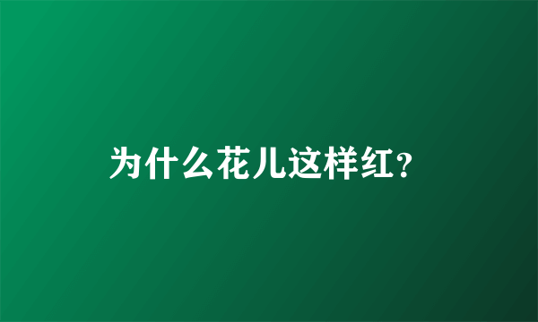 为什么花儿这样红？