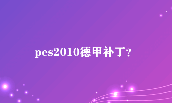 pes2010德甲补丁？