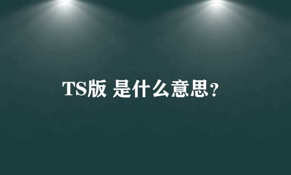 TS版 是什么意思？