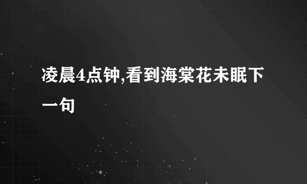 凌晨4点钟,看到海棠花未眠下一句