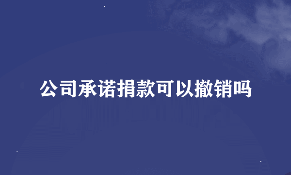 公司承诺捐款可以撤销吗